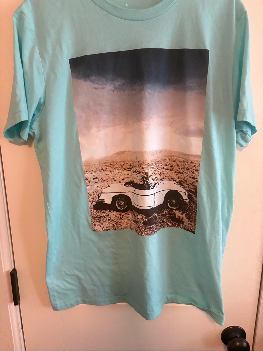 Aeropostale Men's Aqua Graphic Tee with Desert Car Print